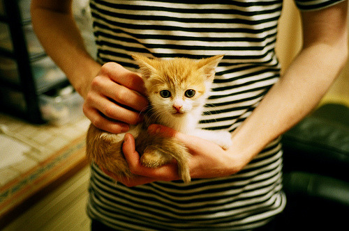 开云体育下载-末节之王！米切尔关键三分助湖人逆转公牛